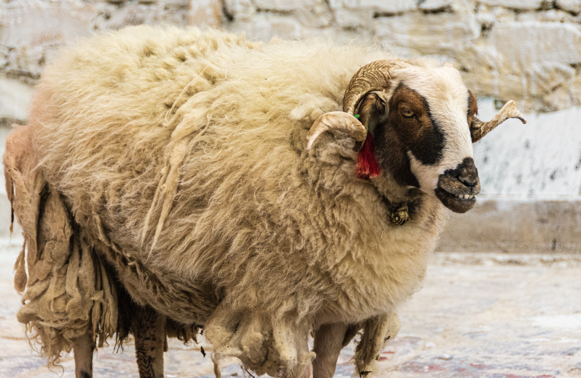 Mount Everest Base Camp